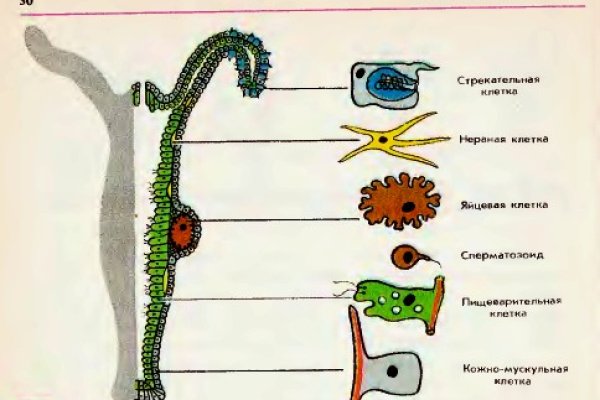 Сайт омг магазин тор