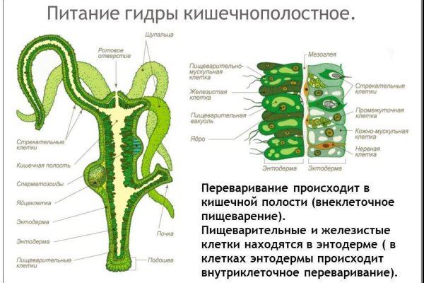 Https BlackSprutruzxpnew4af onion tor com