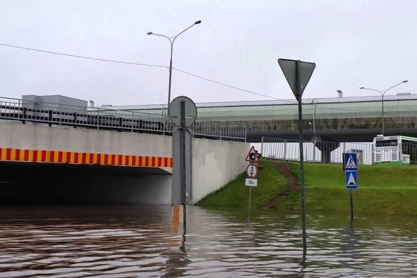 Как закачать фото на мегу