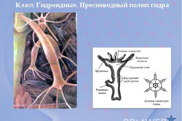 Кракен сайт даркнет зеркало