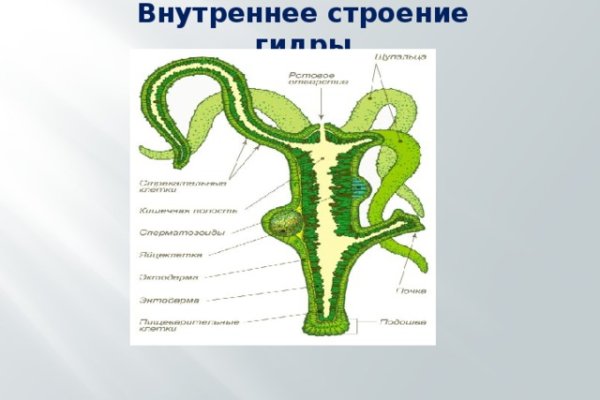 Новая ссылка на блэкспрут в тор браузер